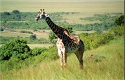 54_Africa2005