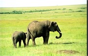 66_Africa2005