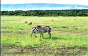 68_Africa2005