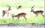 70_Africa2005