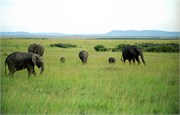 73_Africa2005