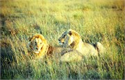 77_Africa2005