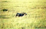 78_Africa2005