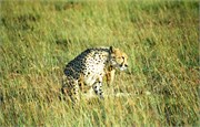82_Africa2005