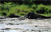 85_Africa2005