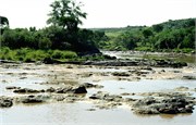 86_Africa2005