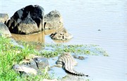 87_Africa2005