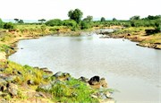 88_Africa2005