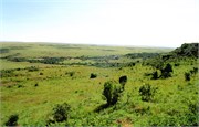 89_Africa2005