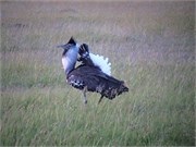 8_Africa2005