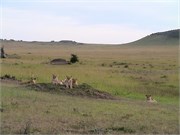 9_Africa2005
