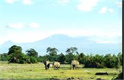 115_Africa2005