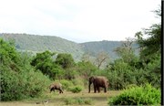 118_Africa2005