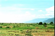 121_Africa2005