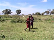 13_Africa2005