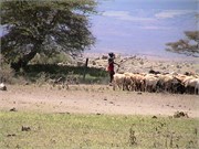 14_Africa2005