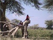 15_Africa2005