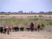 16_Africa2005