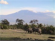 19_Africa2005