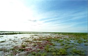 62_Africa2005