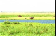 114_Africa2005