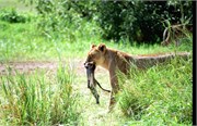 119_Africa2005