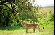 120_Africa2005