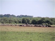23_Africa2005