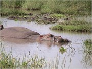 24_Africa2005