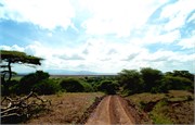 63_Africa2005