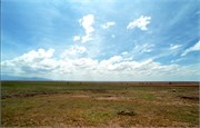 64_Africa2005