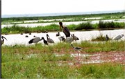 94_Africa2005