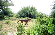 97_Africa2005