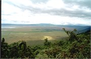 110_Africa2005