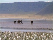 28_Africa2005