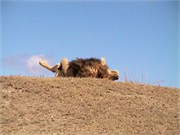 31_Africa2005