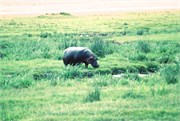 40_Africa2005
