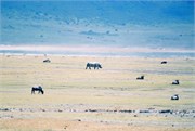 41_Africa2005