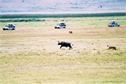 43_Africa2005