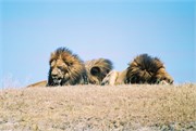 44_Africa2005