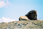 45_Africa2005