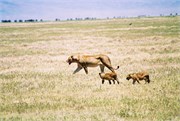 46_Africa2005