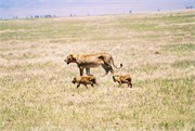47_Africa2005