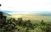 65_Africa2005