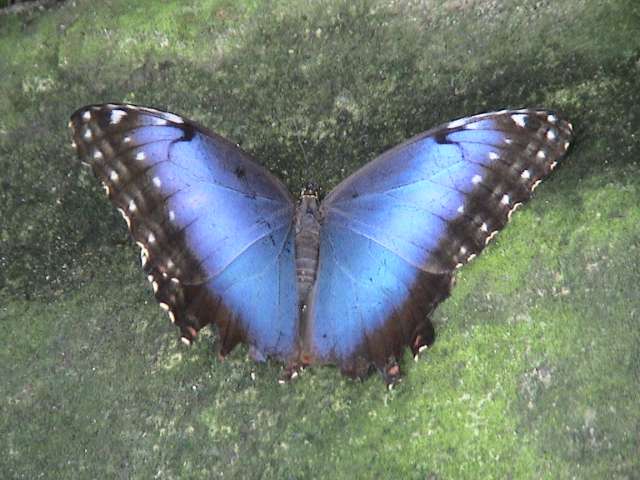 image, The Barrow Family