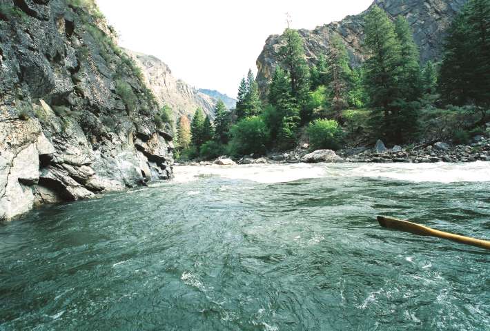 image, The Barrow Family