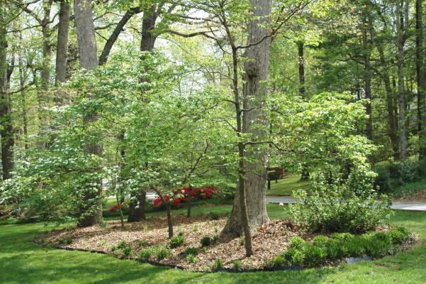 image, The Barrow Family