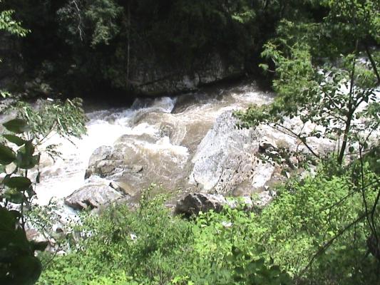 image, The Barrow Family