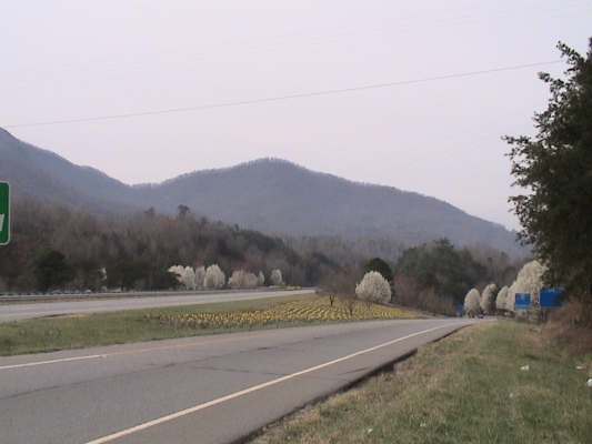 image, The Barrow Family