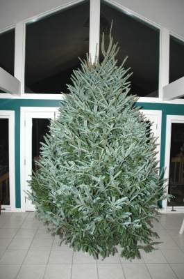 image, The Barrow Family